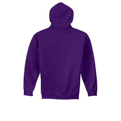 Youth Purple Sled Insanity Hoodie with Green Logo